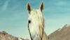 <strong>James Huth, Bruno Salomone</strong> Interview 2: Lucky Luke