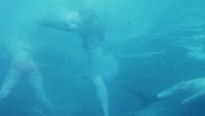 <strong>Les Dents de la Mer</strong> Teaser (2) VO