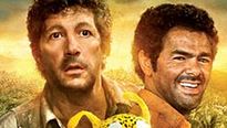 <strong>Plein 2 Ciné</strong> N°153 - Les films du 4 avril 2012