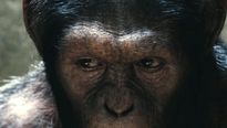 <strong>La Planète des singes : les origines</strong> Bande-annonce (2) VO