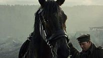 <strong>Cheval de guerre</strong> Bande-annonce (3) VO