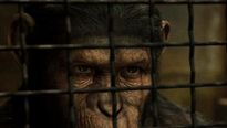 <strong>La Planète des singes : les origines</strong> Extrait vidéo VO