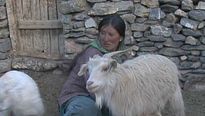 <strong>La Nuit Nomade</strong> Extrait vidéo (3) VO