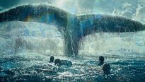 <strong>Top 5</strong> N°579 - Les baleines
