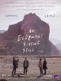 An Elephant Sitting Still
