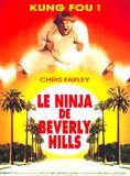 Le Ninja de Beverly Hills streaming gratuit