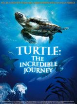Turtle: The Incredible Journey