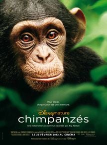 voir Chimpanzés streaming