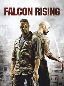 Falcon Rising streaming