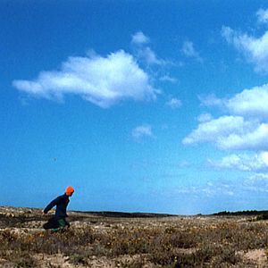 Pas de repos pour les braves : Photo