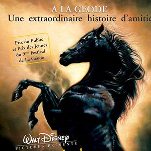 La Légende de l'étalon noir : Affiche Jeanne Rosenberg, Simon Wincer