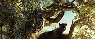 Le Livre de la jungle