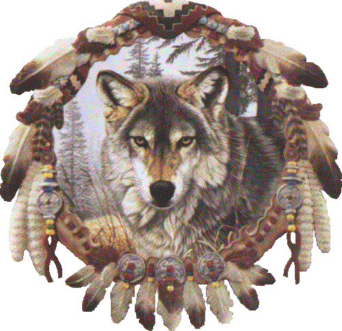 husky80