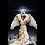 Jeanluc.M