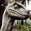 Raptor Bonaparte