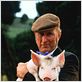 Babe, le cochon dans la ville : photo George Miller, James Cromwell