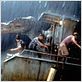 Jurassic Park III : photo Steven Spielberg