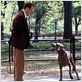 Coup de foudre à Manhattan : photo Ralph Fiennes
