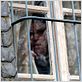 Calvaire : photo Fabrice Du Welz