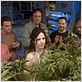 Weeds : photo Andy Milder, Justin Kirk, Kevin Nealon, Mary-Louise Parker, Maulik Pancholy