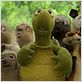 Nos voisins, les hommes : Photo Tim Johnson