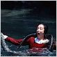 Popeye : photo Robert Altman, Shelley Duvall