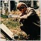 Le Chacal : photo Edward Fox, Fred Zinnemann
