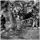 Les Aventures de Robin des Bois : photo Errol Flynn, Michael Curtiz