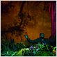 My Own Love Song : photo Forest Whitaker, Olivier Dahan