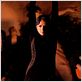 Flamenco, Flamenco : photo