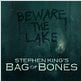 Bag Of Bones : photo