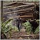 After Earth : Photo Jaden Smith