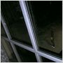 Paranormal Activity 4