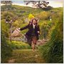 Le Hobbit : un voyage inattendu