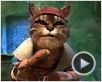 La Véritable histoire du Chat botté Teaser La Véritable histoire du Chat botté Teaser