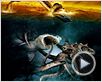 Mega Shark vs. Giant Octopus (TV) Bande-annonce VO