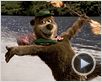 Yogi l'ours Bande-annonce (2) VF