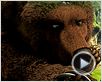 L'Ours Montagne Bande-annonce L'Ours Montagne Bande-annonce