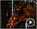 Harry Potter et l'Ordre du Phénix Extrait vidéo (2) VO