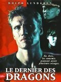 Télécharger : Le dernier des dragons