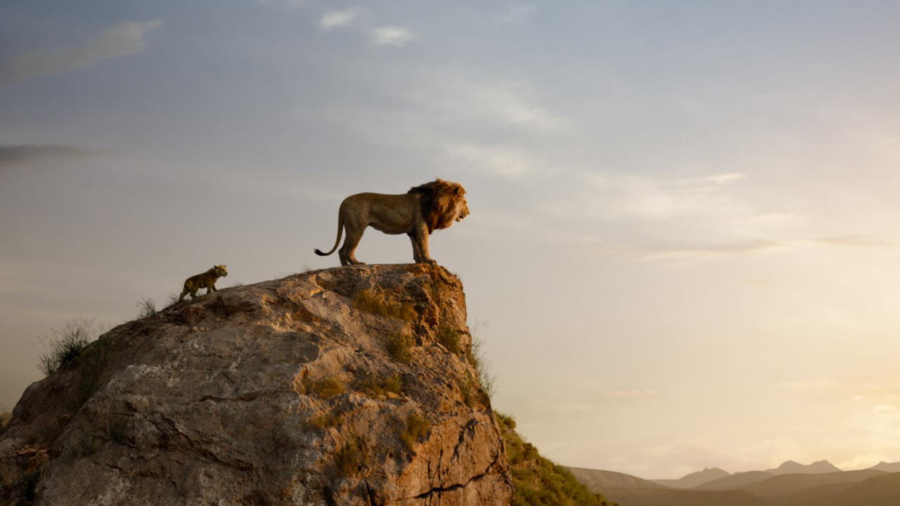 Sorties cinéma : Le Roi Lion, 4ème meilleur démarrage de l'année