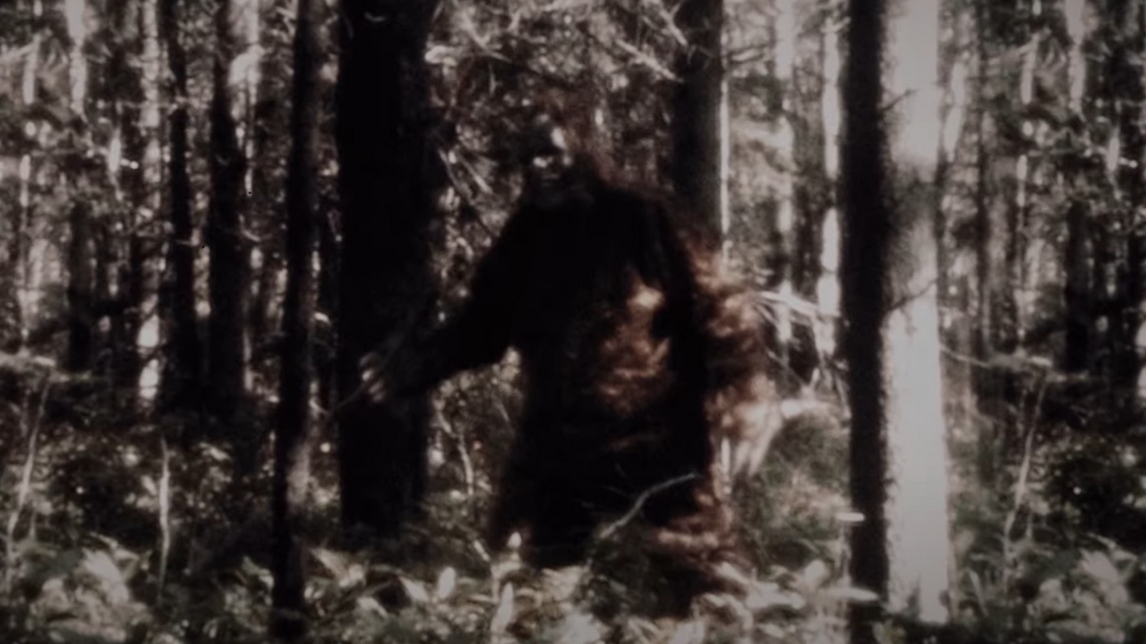 Bande-annonce Sasquatch : une série documentaire sur le mythe du Bigfoot par les frères Duplass