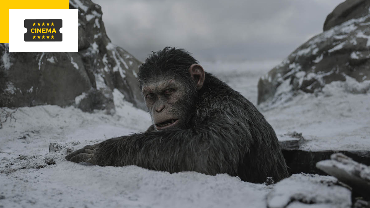 La Planète des singes 4 : une photo et un titre officiel pour le nouveau film de la saga