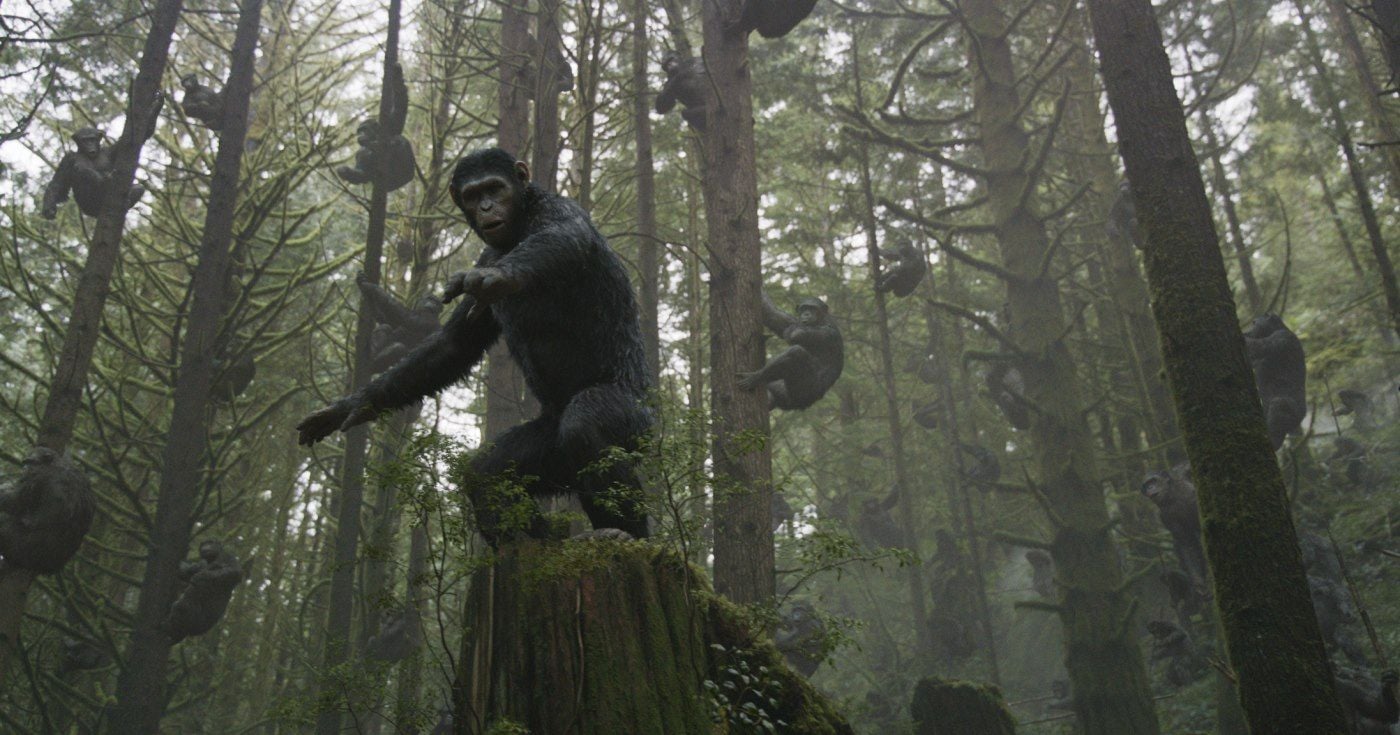 Photo du film La Planète des singes l