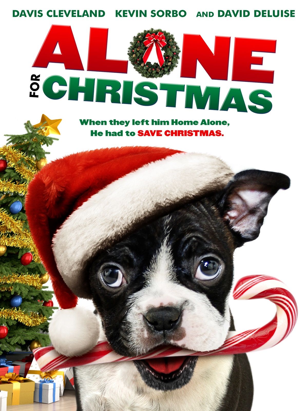 Film Un Chien Pour Noel Un Noël au Poil - film 2013 - AlloCiné