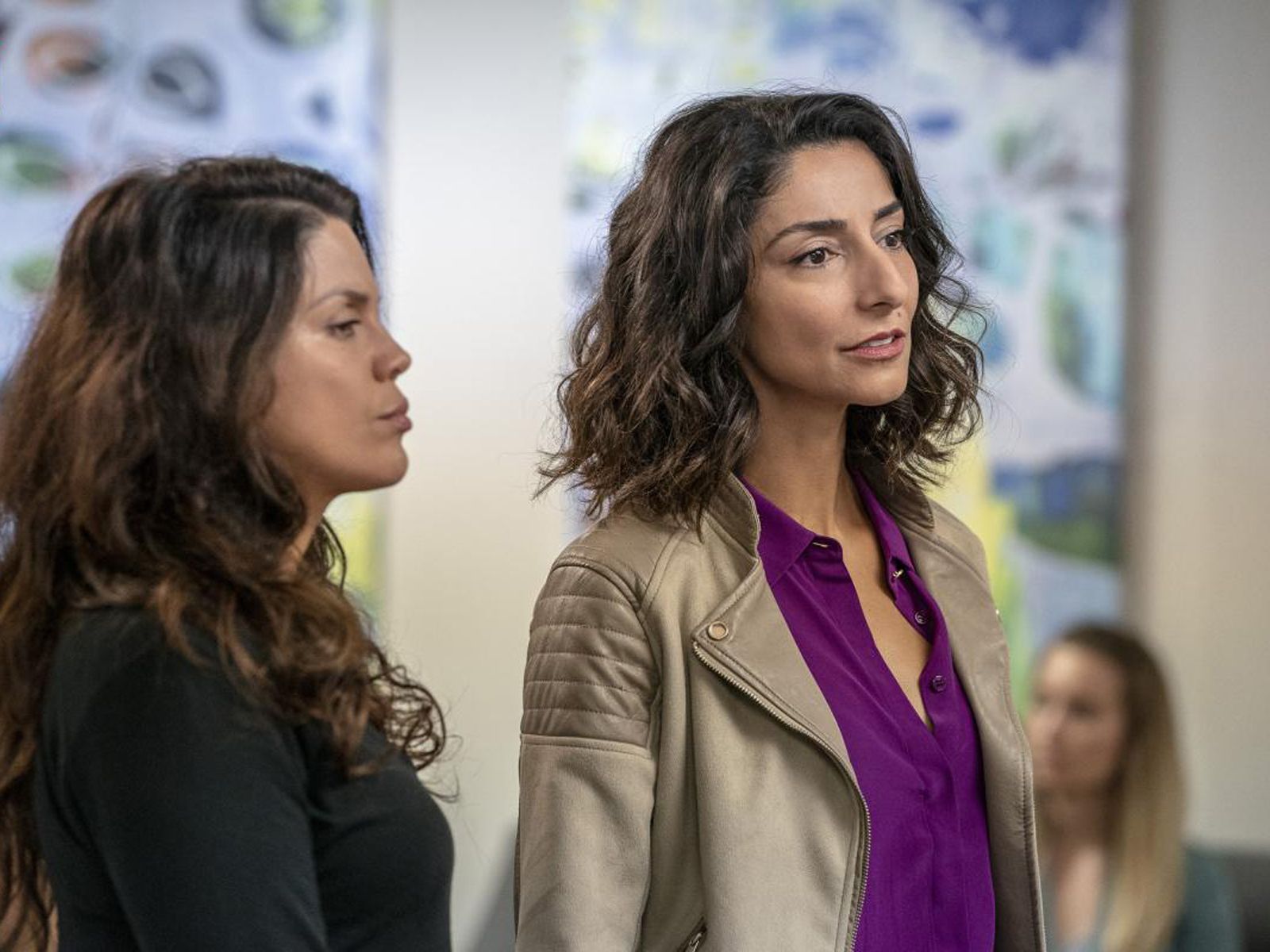 NCIS NouvelleOrléans Photo Necar Zadegan, Vanessa Ferlito 167 sur 476 AlloCiné