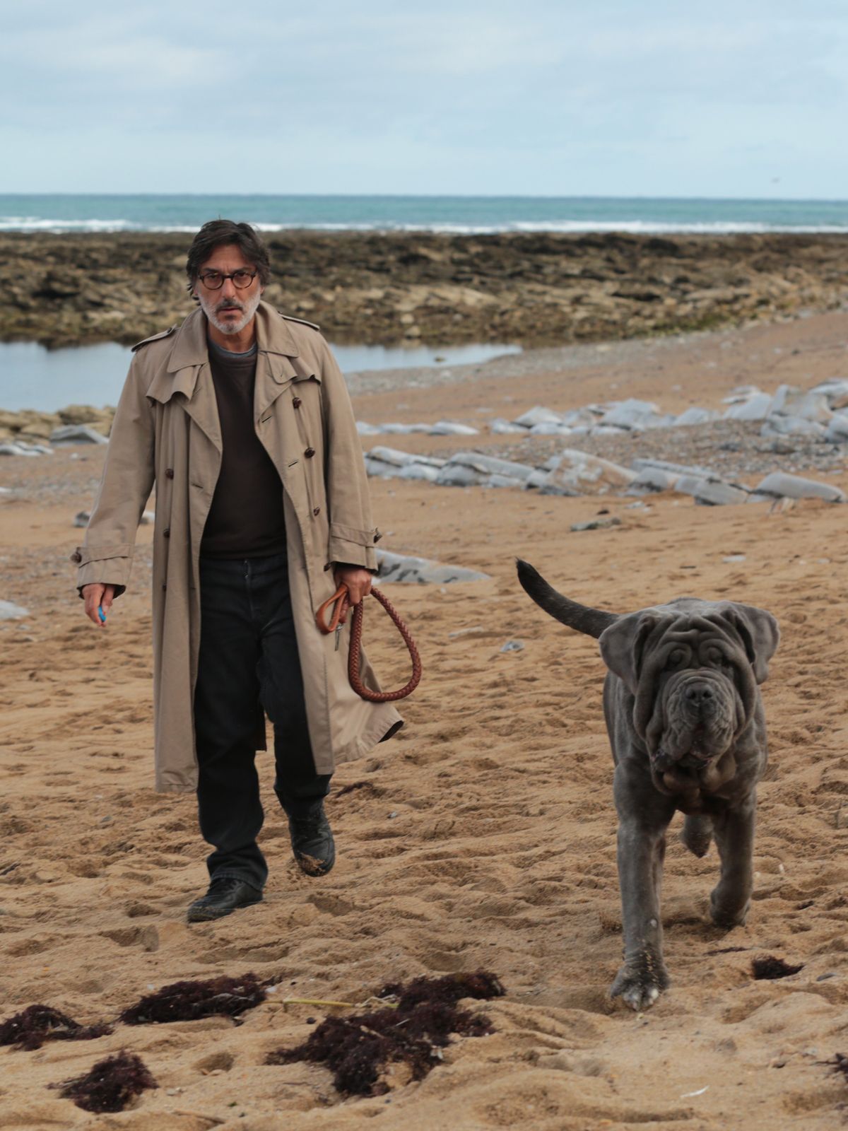 Mon Chien Stupide Film Quelle Race Mon chien stupide - film 2018 - AlloCiné