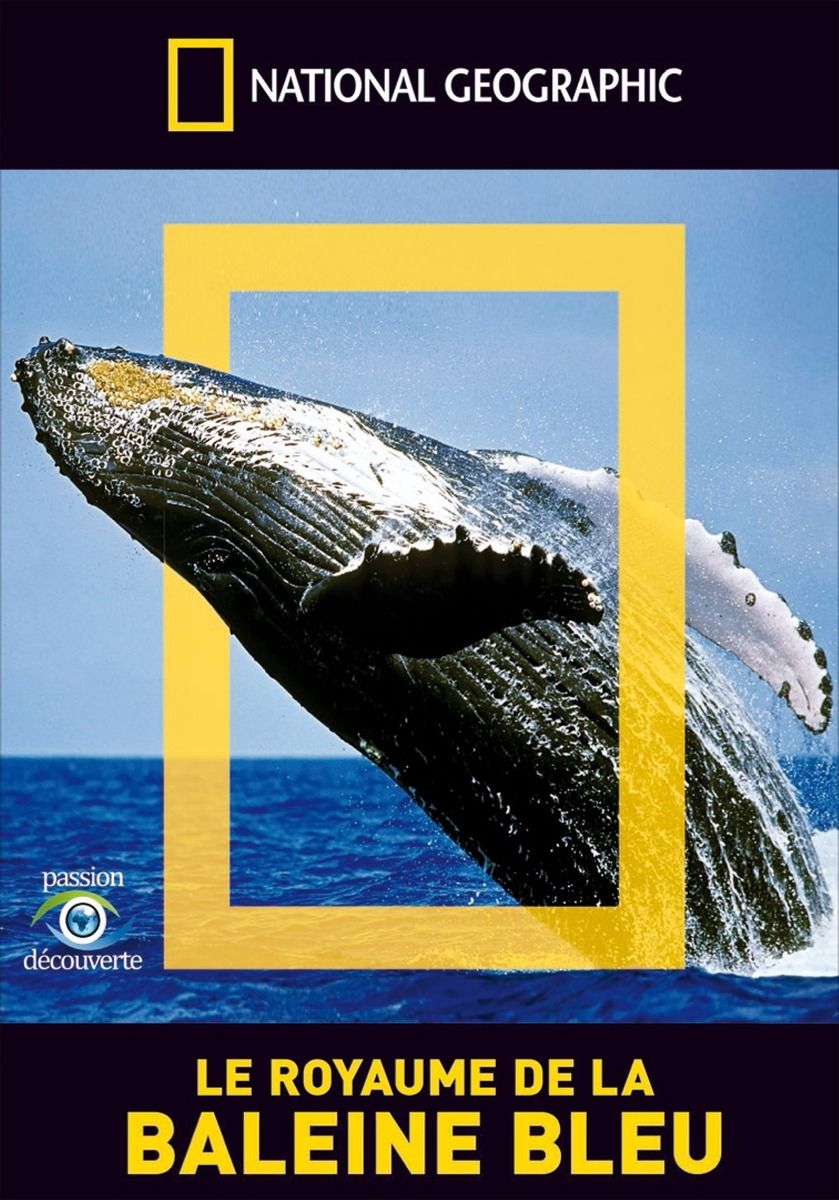 La Baleine Bleue Chanson Partition at Sharon Castro blog