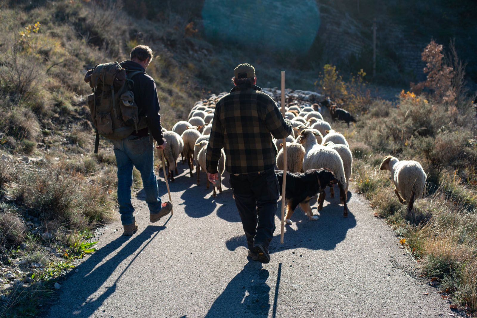 Photo Du Film Vivre Avec Les Loups Photo Sur Allocin