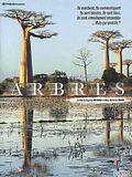 Photo : Arbres